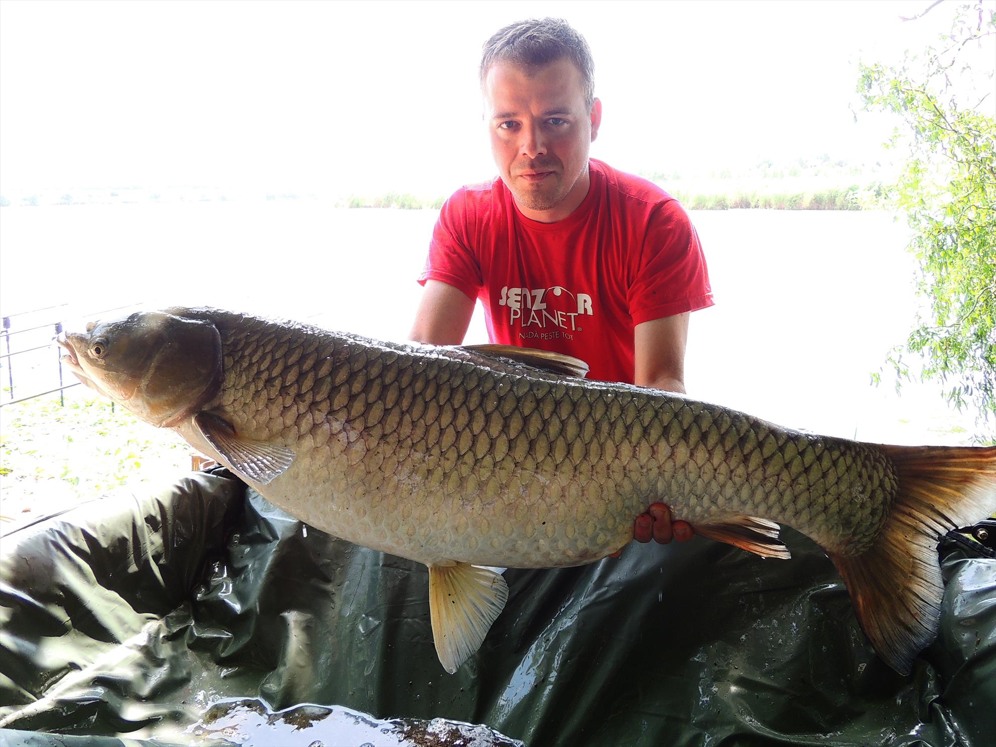 Tancabesti 14 - 16 iunie 2015 - dscn6759.JPG